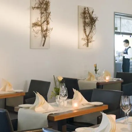 法兰克福埃施波恩黑弗曼公园美居酒店 4*
